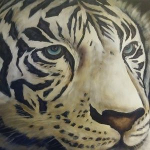 Meet your Posher, Rado